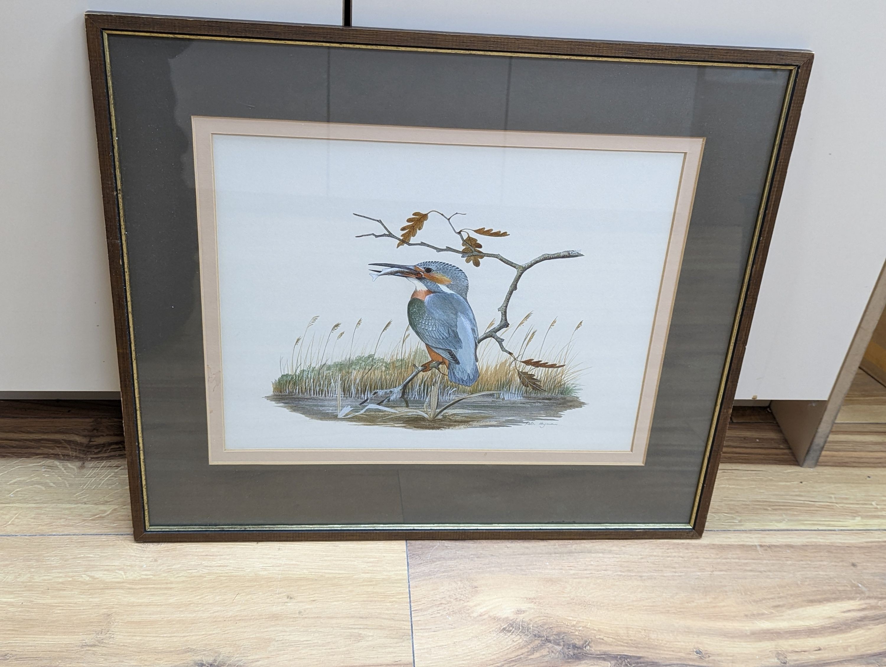 Peter Hayman (1930-), watercolour, Kingfisher beside a river, signed, 29 x 38cm